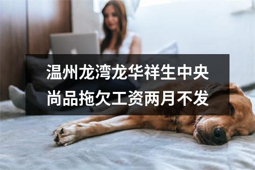 温州龙湾龙华祥生中央尚品拖欠工资两月不发