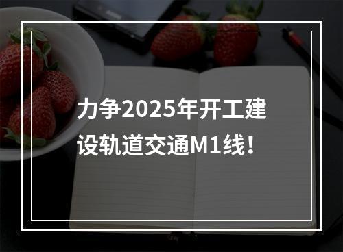力争2025年开工建设轨道交通M1线！