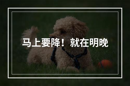 马上要降！就在明晚