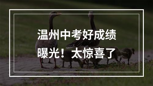 温州中考好成绩曝光！太惊喜了