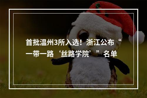 首批温州3所入选！浙江公布“一带一路‘丝路学院’”名单