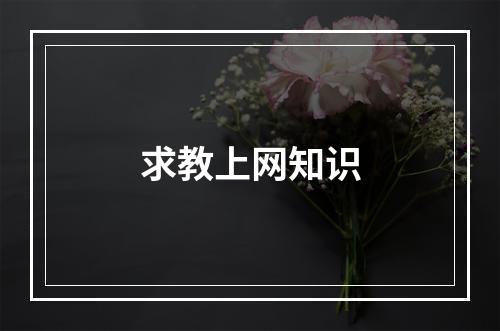 求教上网知识