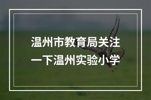 温州市教育局关注一下温州实验小学