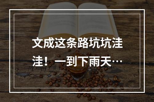 文成这条路坑坑洼洼！一到下雨天…