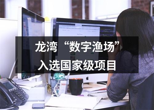 龙湾“数字渔场” 入选国家级项目