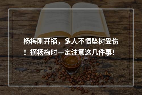 杨梅刚开摘，多人不慎坠树受伤！摘杨梅时一定注意这几件事！