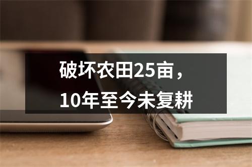 破坏农田25亩，10年至今未复耕