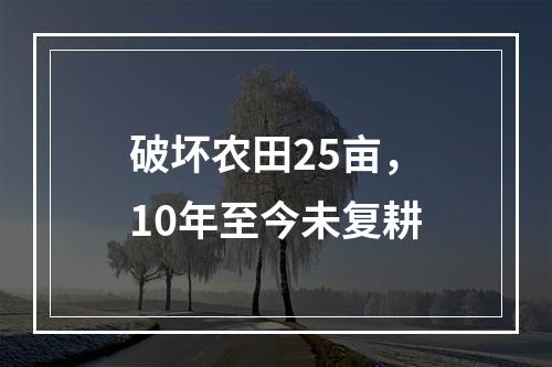 破坏农田25亩，10年至今未复耕