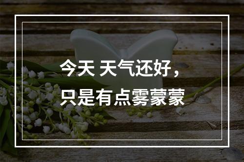 今天 天气还好，只是有点雾蒙蒙