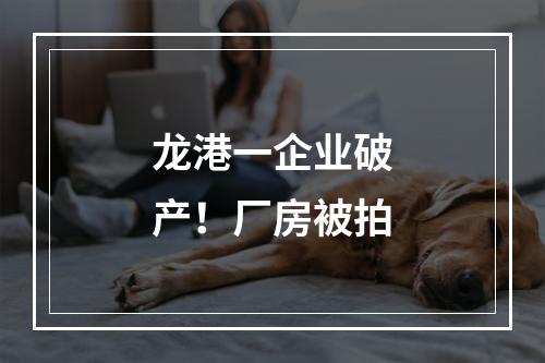 龙港一企业破产！厂房被拍