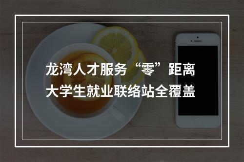 龙湾人才服务“零”距离 大学生就业联络站全覆盖