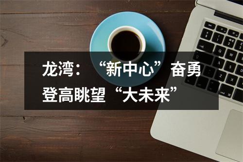 龙湾：“新中心”奋勇登高眺望“大未来”