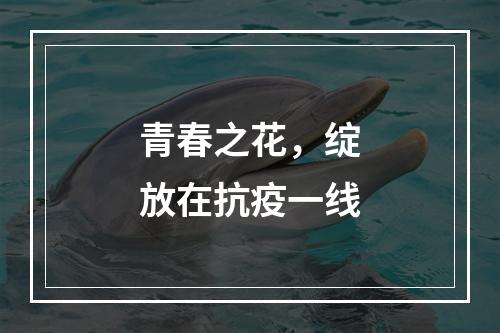 青春之花，绽放在抗疫一线