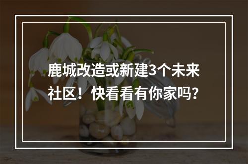 鹿城改造或新建3个未来社区！快看看有你家吗？