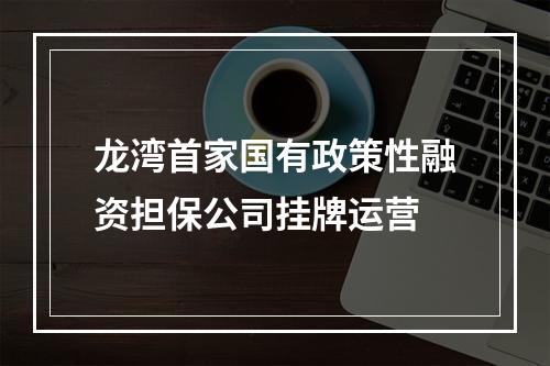 龙湾首家国有政策性融资担保公司挂牌运营
