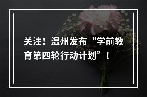 关注！温州发布“学前教育第四轮行动计划”！