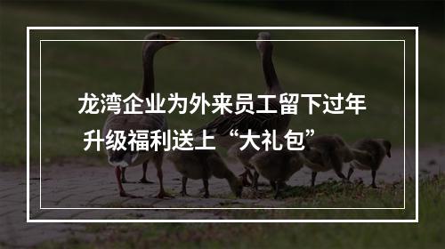 龙湾企业为外来员工留下过年 升级福利送上“大礼包”