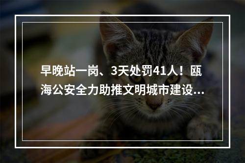 早晚站一岗、3天处罚41人！瓯海公安全力助推文明城市建设工作