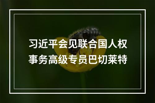 习近平会见联合国人权事务高级专员巴切莱特