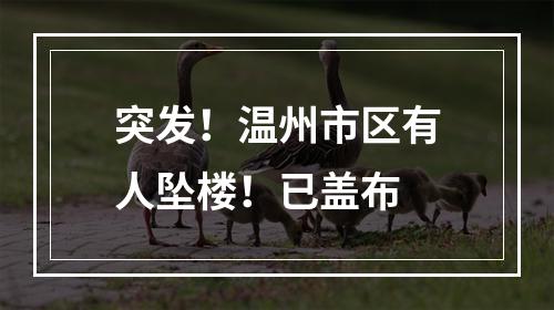 突发！温州市区有人坠楼！已盖布