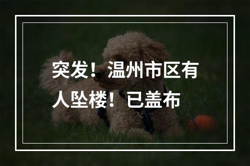 突发！温州市区有人坠楼！已盖布