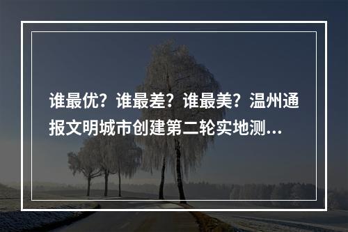 谁最优？谁最差？谁最美？温州通报文明城市创建第二轮实地测评结果