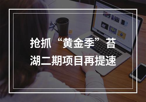 抢抓“黄金季”苔湖二期项目再提速