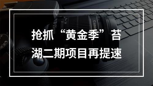 抢抓“黄金季”苔湖二期项目再提速