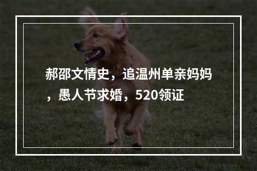 郝邵文情史，追温州单亲妈妈，愚人节求婚，520领证