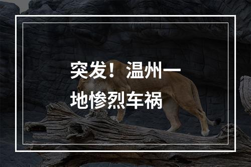 突发！温州一地惨烈车祸