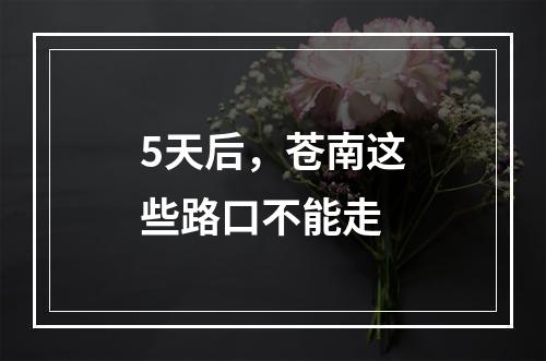 5天后，苍南这些路口不能走