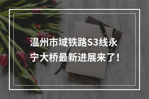 温州市域铁路S3线永宁大桥最新进展来了！
