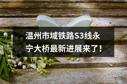 温州市域铁路S3线永宁大桥最新进展来了！