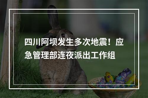 四川阿坝发生多次地震！应急管理部连夜派出工作组