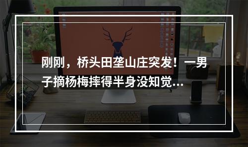 刚刚，桥头田垄山庄突发！一男子摘杨梅摔得半身没知觉...