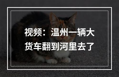 视频：温州一辆大货车翻到河里去了