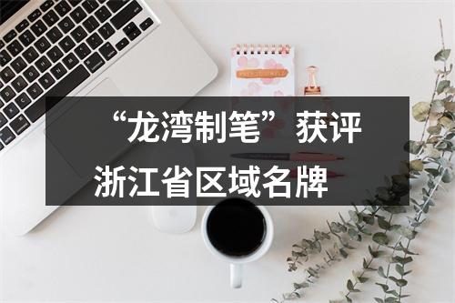 “龙湾制笔”获评浙江省区域名牌