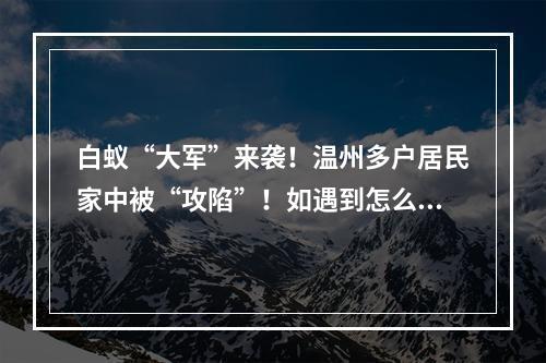 白蚁“大军”来袭！温州多户居民家中被“攻陷”！如遇到怎么办，该如何预防？