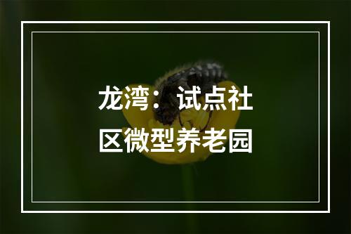 龙湾：试点社区微型养老园