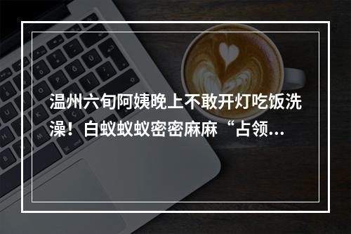 温州六旬阿姨晚上不敢开灯吃饭洗澡！白蚁蚁蚁密密麻麻“占领”老屋