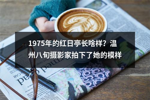 1975年的红日亭长啥样？温州八旬摄影家拍下了她的模样