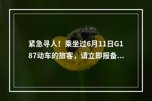 紧急寻人！乘坐过6月11日G187动车的旅客，请立即报备！