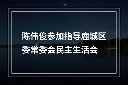 陈伟俊参加指导鹿城区委常委会民主生活会