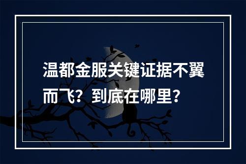 温都金服关键证据不翼而飞？到底在哪里？