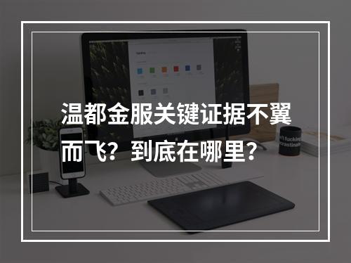 温都金服关键证据不翼而飞？到底在哪里？