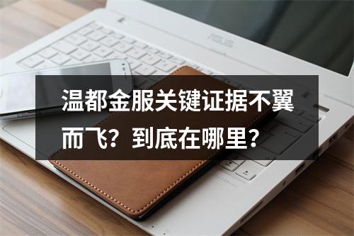 温都金服关键证据不翼而飞？到底在哪里？