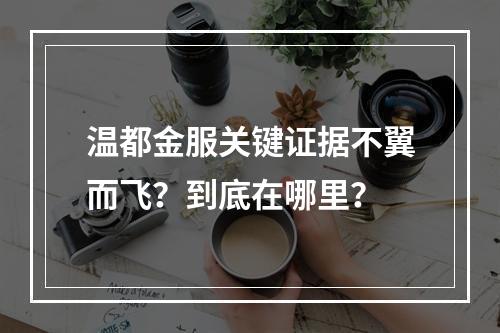 温都金服关键证据不翼而飞？到底在哪里？
