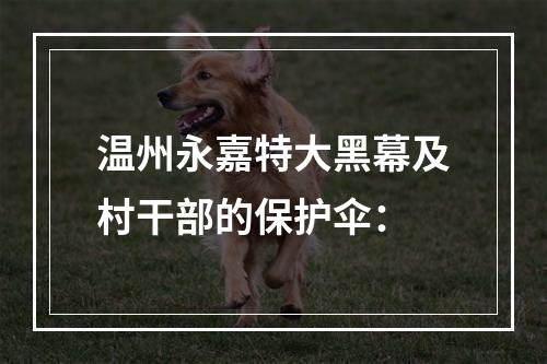 温州永嘉特大黑幕及村干部的保护伞：