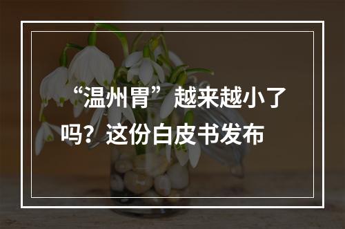 “温州胃”越来越小了吗？这份白皮书发布