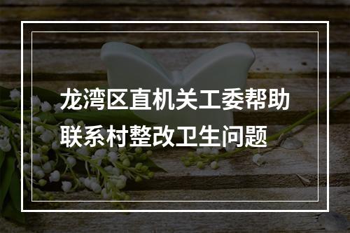 龙湾区直机关工委帮助联系村整改卫生问题